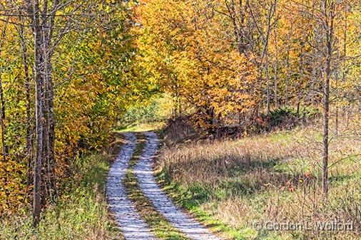 Autumn Lane_28324.jpg - Photographed in the Canadian Shield near Perth, Ontario, Canada.
